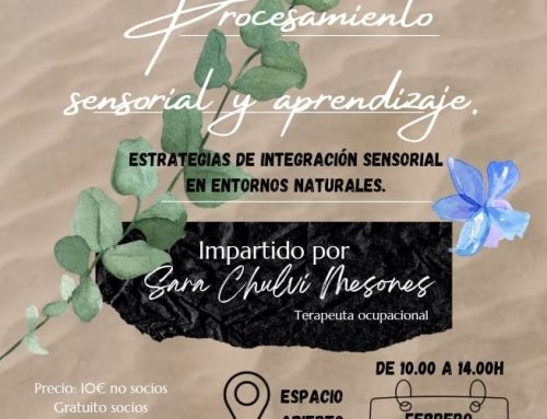 Taller sobre procesamiento sensorial y aprendizaje: estrategias en entornos naturales